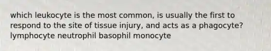 which leukocyte is the most common, is usually the first to respond to the site of tissue injury, and acts as a phagocyte? lymphocyte neutrophil basophil monocyte