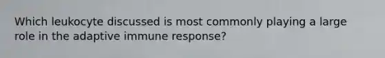 Which leukocyte discussed is most commonly playing a large role in the adaptive immune response?