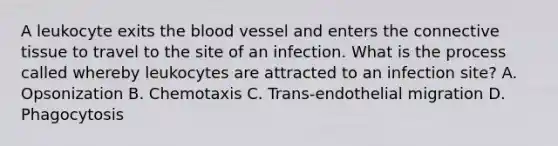 A leukocyte exits the blood vessel and enters the connective tissue to travel to the site of an infection. What is the process called whereby leukocytes are attracted to an infection site? A. Opsonization B. Chemotaxis C. Trans-endothelial migration D. Phagocytosis