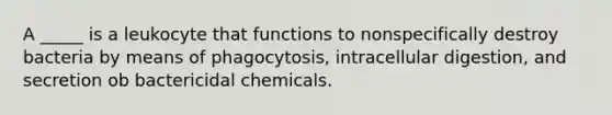 A _____ is a leukocyte that functions to nonspecifically destroy bacteria by means of phagocytosis, intracellular digestion, and secretion ob bactericidal chemicals.