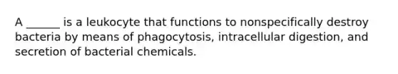 A ______ is a leukocyte that functions to nonspecifically destroy bacteria by means of phagocytosis, intracellular digestion, and secretion of bacterial chemicals.