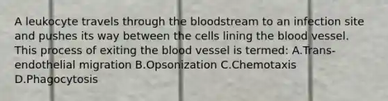 A leukocyte travels through the bloodstream to an infection site and pushes its way between the cells lining the blood vessel. This process of exiting the blood vessel is termed: A.Trans-endothelial migration B.Opsonization C.Chemotaxis D.Phagocytosis