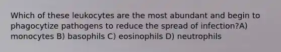 Which of these leukocytes are the most abundant and begin to phagocytize pathogens to reduce the spread of infection?A) monocytes B) basophils C) eosinophils D) neutrophils