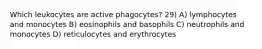 Which leukocytes are active phagocytes? 29) A) lymphocytes and monocytes B) eosinophils and basophils C) neutrophils and monocytes D) reticulocytes and erythrocytes