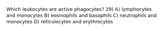 Which leukocytes are active phagocytes? 29) A) lymphocytes and monocytes B) eosinophils and basophils C) neutrophils and monocytes D) reticulocytes and erythrocytes