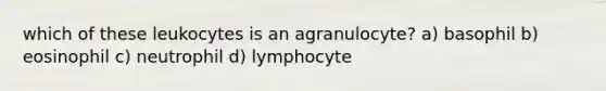 which of these leukocytes is an agranulocyte? a) basophil b) eosinophil c) neutrophil d) lymphocyte