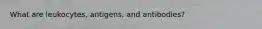 What are leukocytes, antigens, and antibodies?
