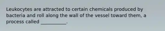 Leukocytes are attracted to certain chemicals produced by bacteria and roll along the wall of the vessel toward them, a process called ___________.