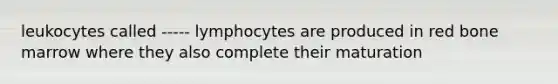 leukocytes called ----- lymphocytes are produced in red bone marrow where they also complete their maturation