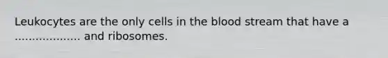 Leukocytes are the only cells in the blood stream that have a ................... and ribosomes.