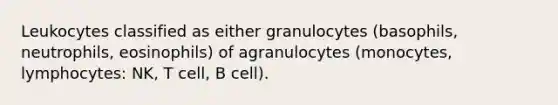 Leukocytes classified as either granulocytes (basophils, neutrophils, eosinophils) of agranulocytes (monocytes, lymphocytes: NK, T cell, B cell).