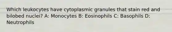 Which leukocytes have cytoplasmic granules that stain red and bilobed nuclei? A: Monocytes B: Eosinophils C: Basophils D: Neutrophils