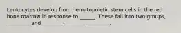 Leukocytes develop from hematopoietic stem cells in the red bone marrow in response to ______. These fall into two groups, _________ and ________-________ _________.