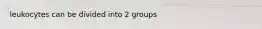 leukocytes can be divided into 2 groups