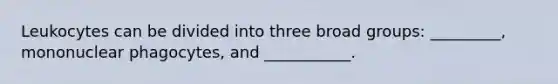Leukocytes can be divided into three broad groups: _________, mononuclear phagocytes, and ___________.