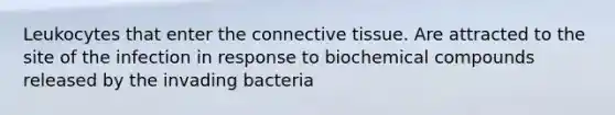 Leukocytes that enter the connective tissue. Are attracted to the site of the infection in response to biochemical compounds released by the invading bacteria