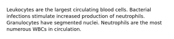 Leukocytes are the largest circulating blood cells. Bacterial infections stimulate increased production of neutrophils. Granulocytes have segmented nuclei. Neutrophils are the most numerous WBCs in circulation.