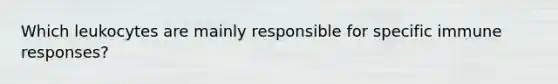 Which leukocytes are mainly responsible for specific immune responses?