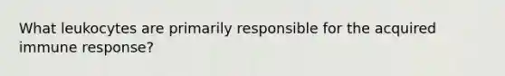 What leukocytes are primarily responsible for the acquired immune response?