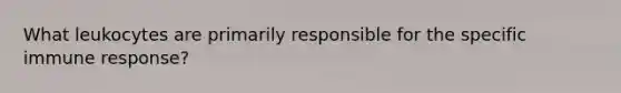 What leukocytes are primarily responsible for the specific immune response?