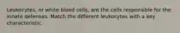 Leukocytes, or white blood cells, are the cells responsible for the innate defenses. Match the different leukocytes with a key characteristic.