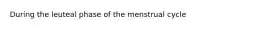 During the leuteal phase of the menstrual cycle