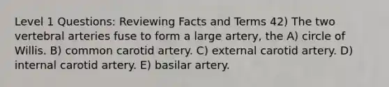 Level 1 Questions: Reviewing Facts and Terms 42) The two vertebral arteries fuse to form a large artery, the A) circle of Willis. B) common carotid artery. C) external carotid artery. D) internal carotid artery. E) basilar artery.