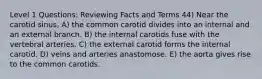 Level 1 Questions: Reviewing Facts and Terms 44) Near the carotid sinus, A) the common carotid divides into an internal and an external branch. B) the internal carotids fuse with the vertebral arteries. C) the external carotid forms the internal carotid. D) veins and arteries anastomose. E) the aorta gives rise to the common carotids.