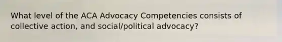 What level of the ACA Advocacy Competencies consists of collective action, and social/political advocacy?