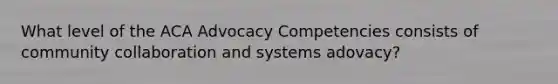 What level of the ACA Advocacy Competencies consists of community collaboration and systems adovacy?