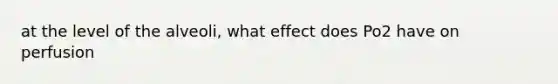 at the level of the alveoli, what effect does Po2 have on perfusion