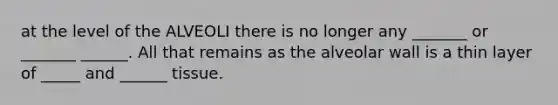 at the level of the ALVEOLI there is no longer any _______ or _______ ______. All that remains as the alveolar wall is a thin layer of _____ and ______ tissue.