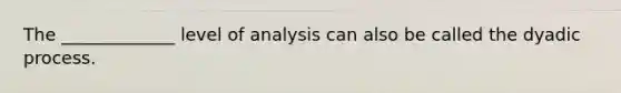 The _____________ level of analysis can also be called the dyadic process.