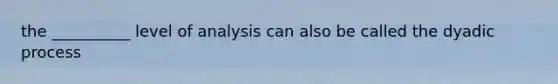 the __________ level of analysis can also be called the dyadic process