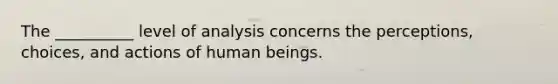 The __________ level of analysis concerns the perceptions, choices, and actions of human beings.