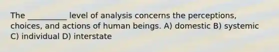 The __________ level of analysis concerns the perceptions, choices, and actions of human beings. A) domestic B) systemic C) individual D) interstate