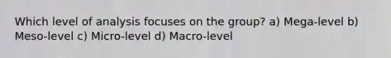 Which level of analysis focuses on the group? a) Mega-level b) Meso-level c) Micro-level d) Macro-level