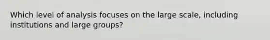 Which level of analysis focuses on the large scale, including institutions and large groups?