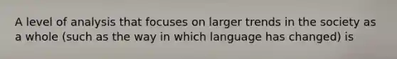 A level of analysis that focuses on larger trends in the society as a whole (such as the way in which language has changed) is