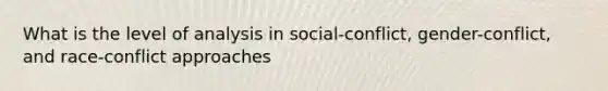 What is the level of analysis in social-conflict, gender-conflict, and race-conflict approaches