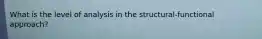What is the level of analysis in the structural-functional approach?