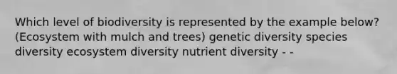 Which level of biodiversity is represented by the example below? (Ecosystem with mulch and trees) genetic diversity species diversity ecosystem diversity nutrient diversity - -