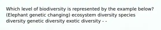 Which level of biodiversity is represented by the example below? (Elephant genetic changing) ecosystem diversity species diversity genetic diversity exotic diversity - -