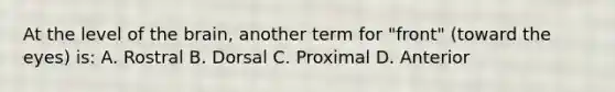At the level of the brain, another term for "front" (toward the eyes) is: A. Rostral B. Dorsal C. Proximal D. Anterior