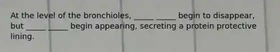 At the level of the bronchioles, _____ _____ begin to disappear, but _____ _____ begin appearing, secreting a protein protective lining.