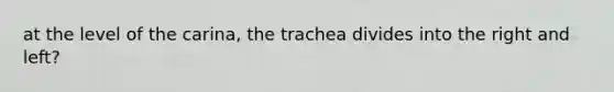 at the level of the carina, the trachea divides into the right and left?