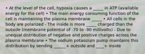 • At the level of the cell, hypoxia causes a _____ in ATP (available energy for the cell) • The main energy consuming function of the cell is maintaining the plasma membrane _____ • All cells in the body are polarized - The inside is more _____ charged than the outside (membrane potential of -70 to -90 millivolts) - Due to unequal distribution of negative and positive charges across the plasma membrane • The sodium potassium pump maintains this distribution by sending ______+ outside and ____+ inside