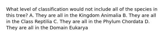 What level of classification would not include all of the species in this tree? A. They are all in the Kingdom Animalia B. They are all in the Class Reptilia C. They are all in the Phylum Chordata D. They are all in the Domain Eukarya