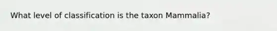 What level of classification is the taxon Mammalia?