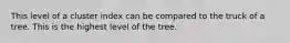 This level of a cluster index can be compared to the truck of a tree. This is the highest level of the tree.